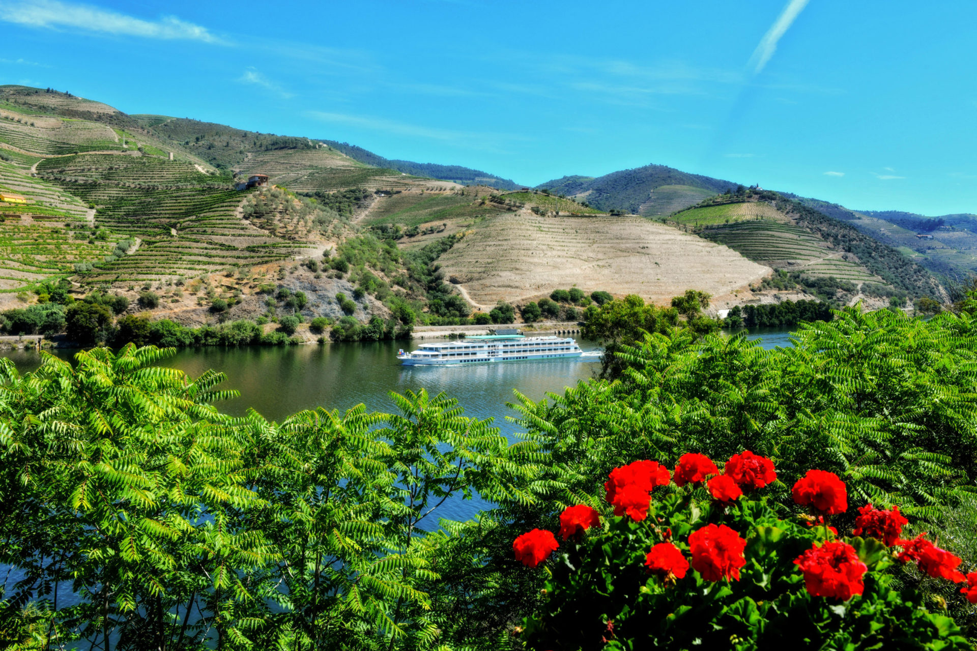 Avec le Douro : offrez-vous une croisière entre nature, culture et émerveillement
